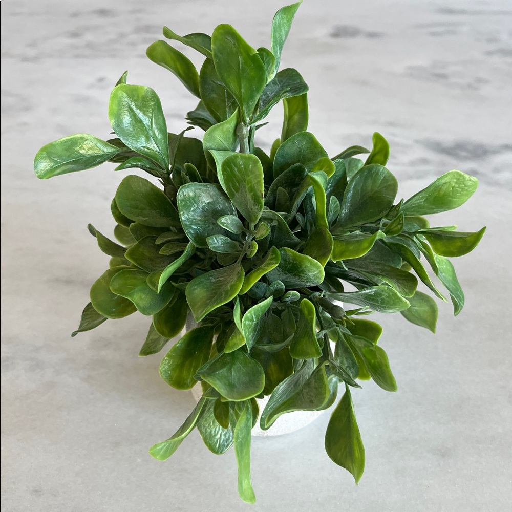 Faux Jade Plant in Stone Pot Home Decor - Picture 2 of 6